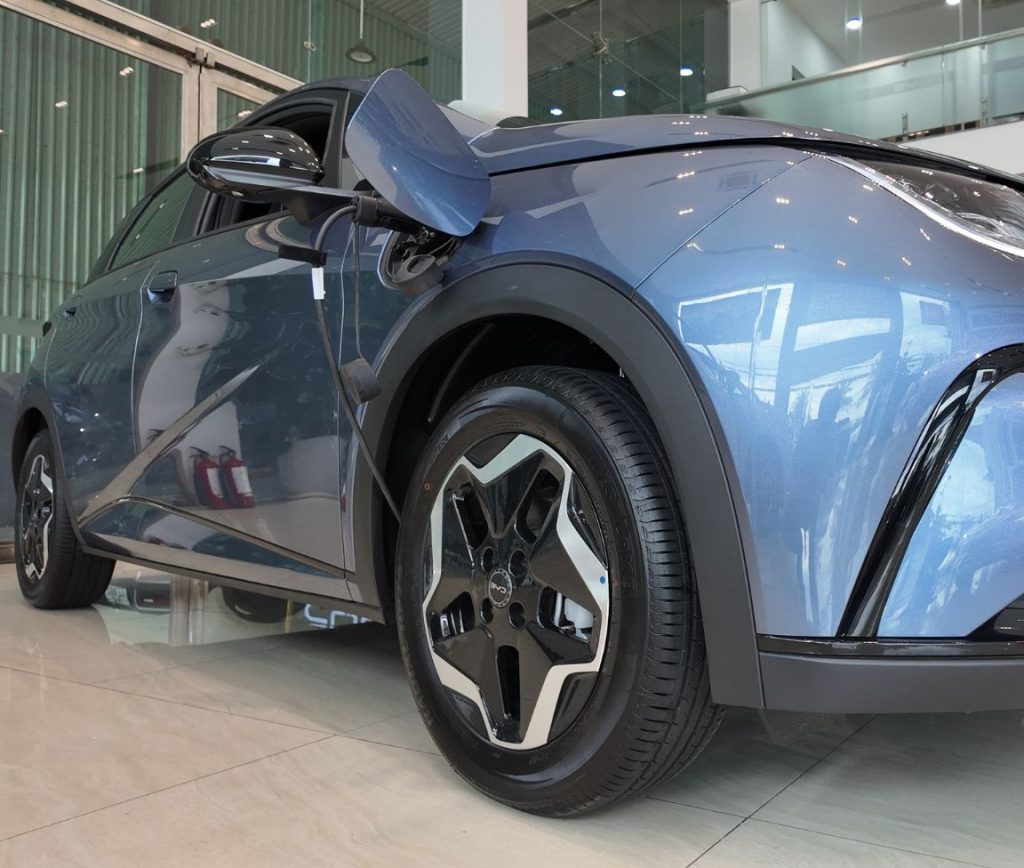 ngoai-that-byd-dolphin-2026